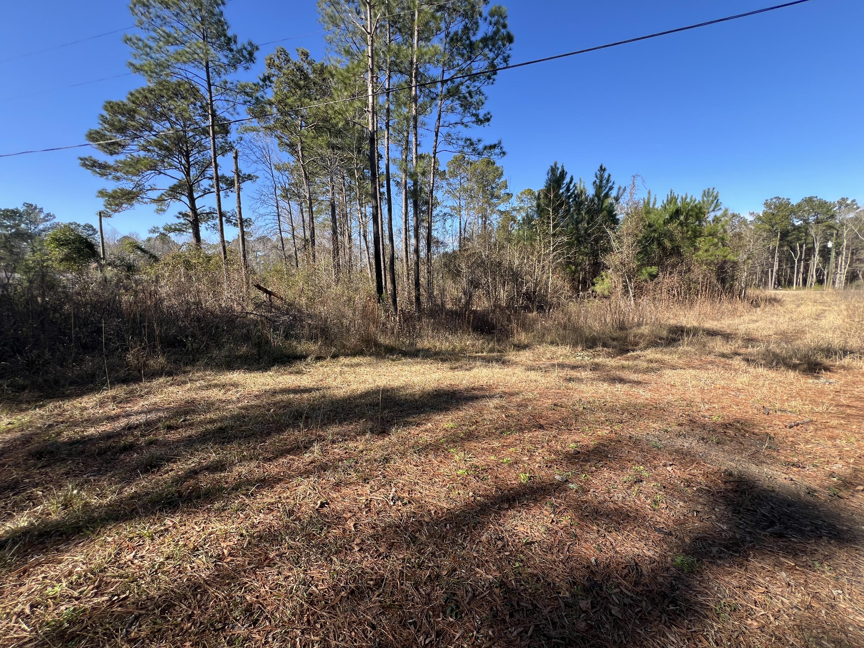 0 Mims Lane Georgetown, SC 29440 - Photo 8 of 9 IMG_1412