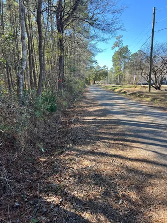 $59,900 | 0 Mims Lane, Georgetown, SC 29440