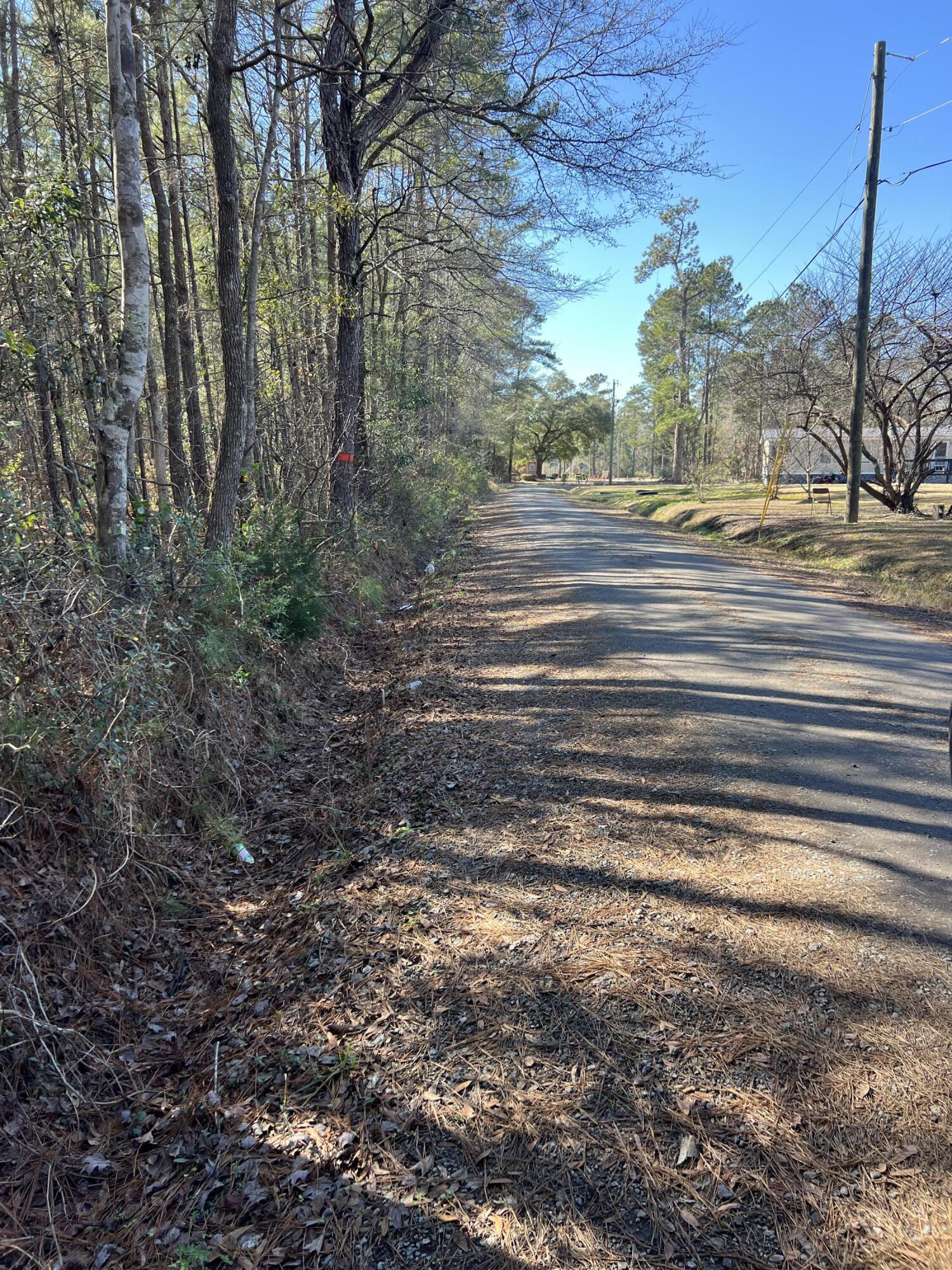 0 Mims Lane Georgetown, SC 29440 - Photo 9 of 9 IMG_1427