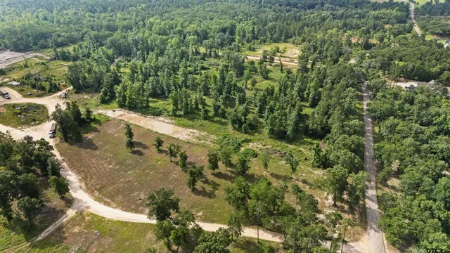 $130,000 | Lot 10 Cr 2123 Whitehouse Tx 75791, Whitehouse, TX 75791