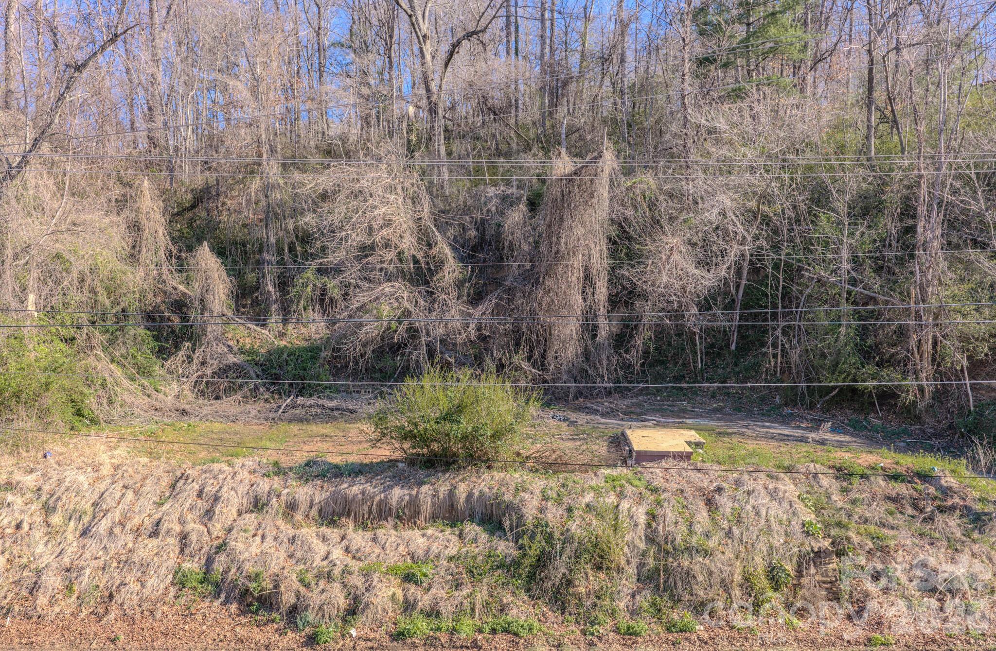 16 Governors View Road Asheville, NC 28805 - Photo 2 of 10