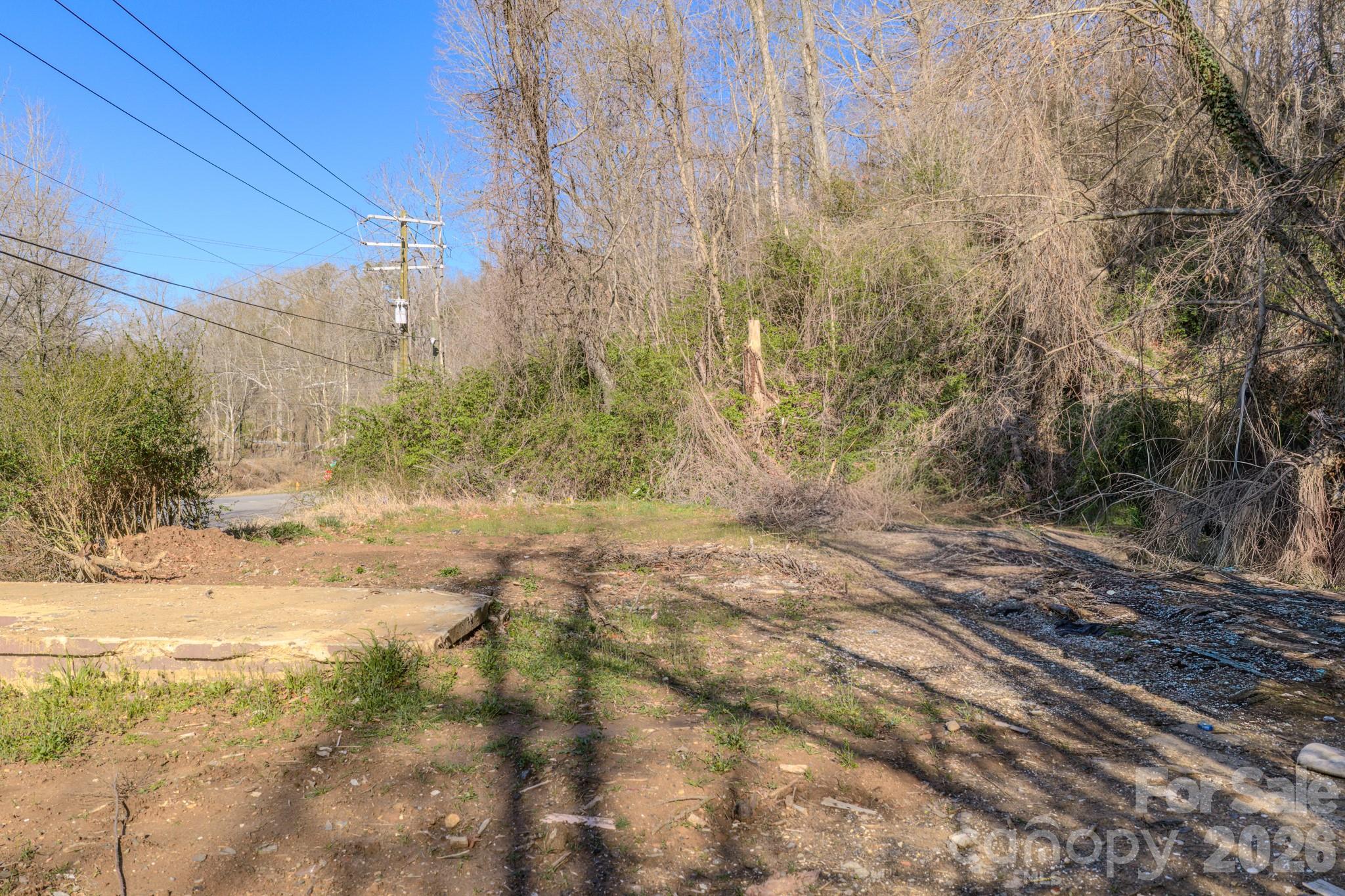 16 Governors View Road Asheville, NC 28805 - Photo 5 of 10