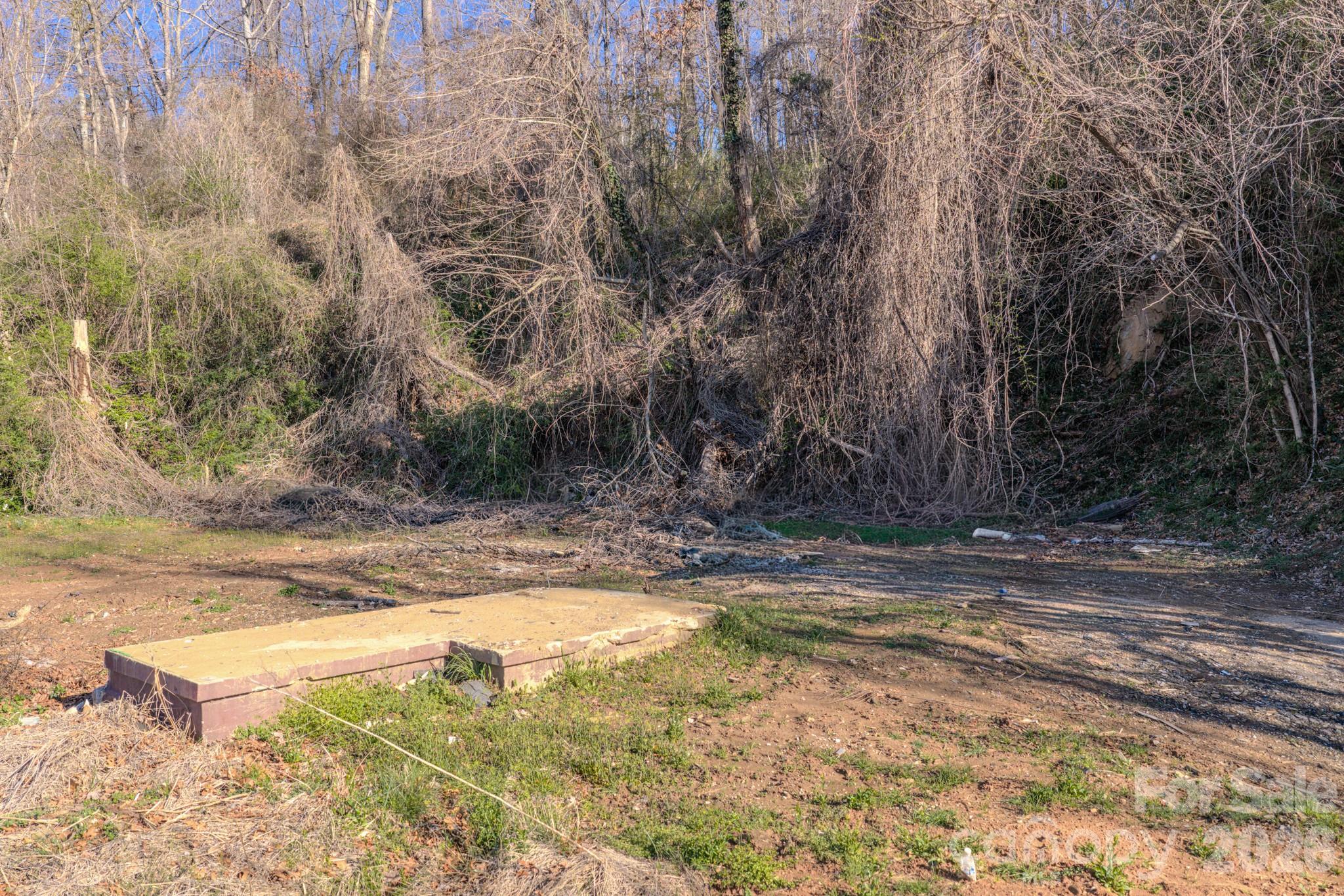 16 Governors View Road Asheville, NC 28805 - Photo 6 of 10