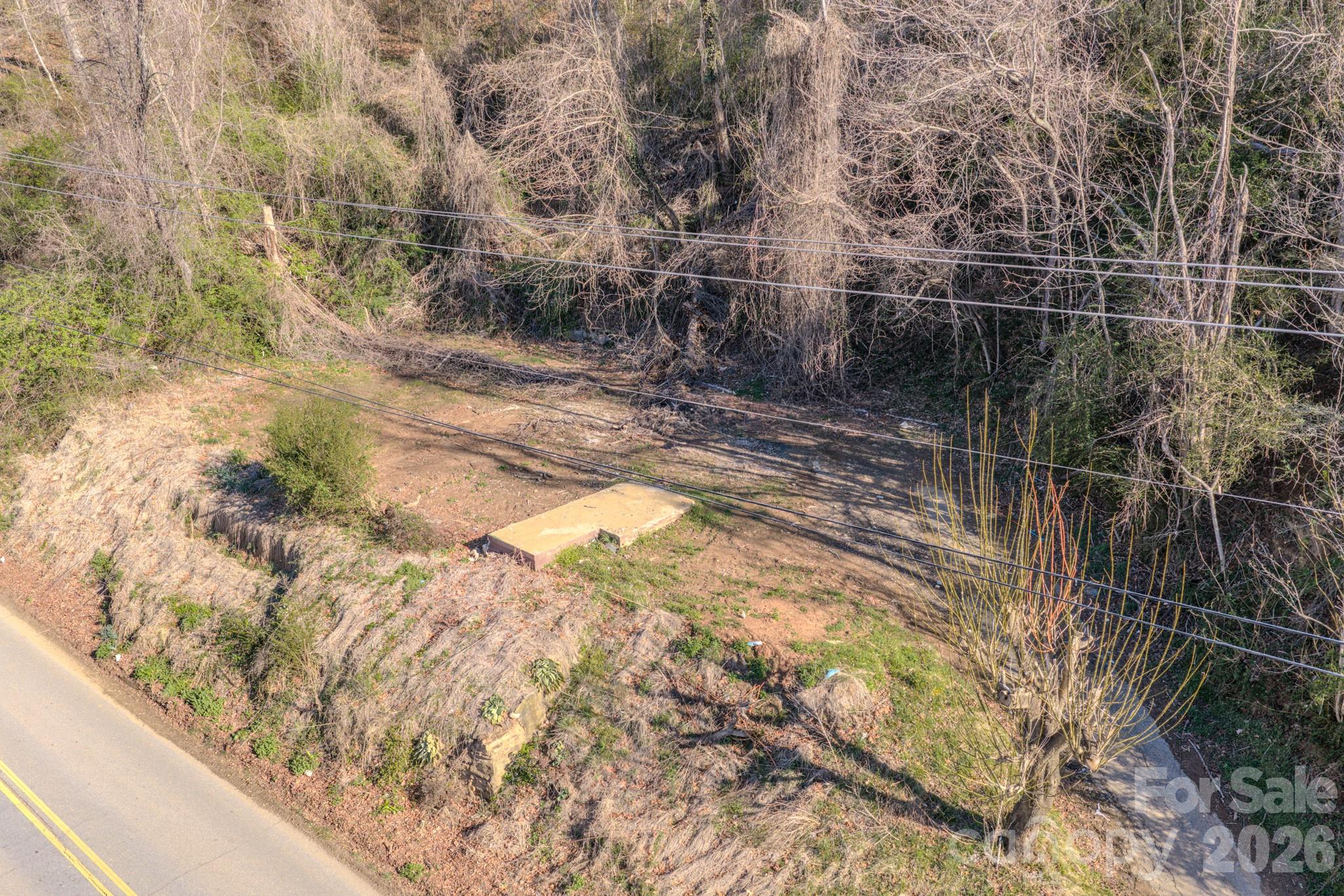 16 Governors View Road Asheville, NC 28805 - Photo 7 of 10