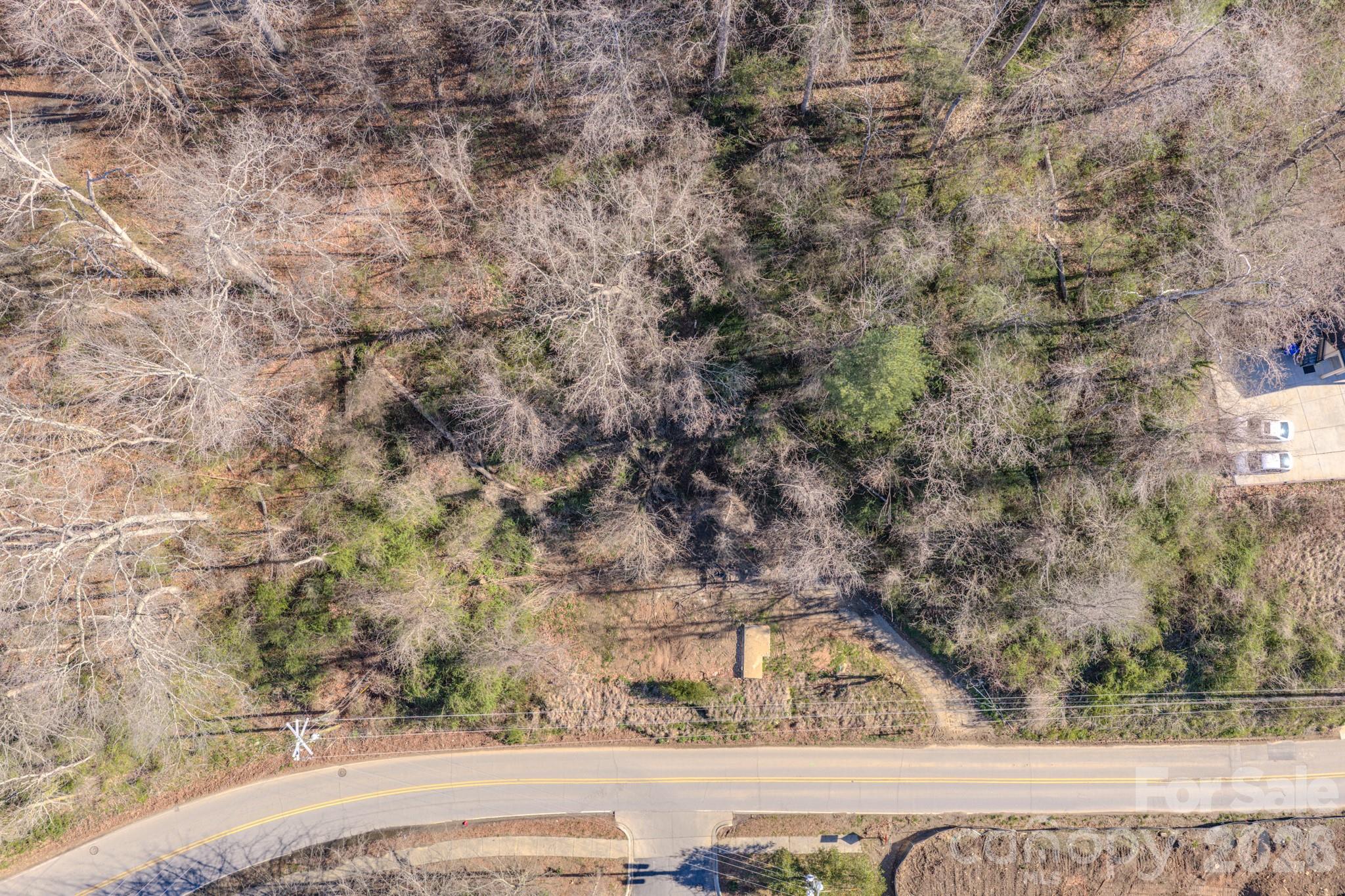 16 Governors View Road Asheville, NC 28805 - Photo 8 of 10