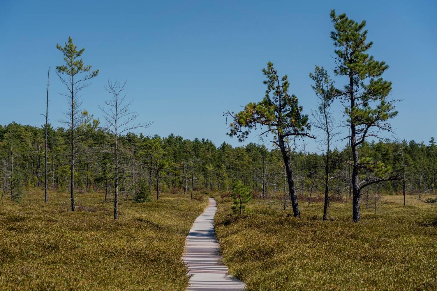 1 Pine Ridge Road Saco, ME 04072 - Photo 53 of 54 Heath Trails