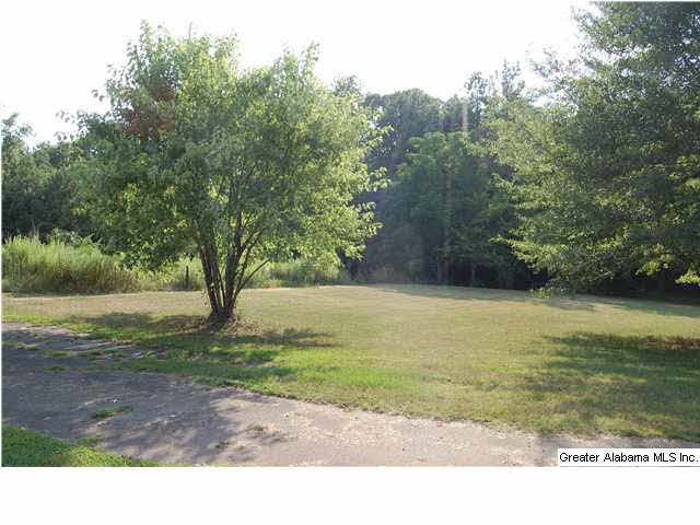 231 Westwood Estate Drive Empire, AL 35063 - Photo 25 of 25