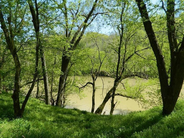 5099 Dry Branch Road Lexington, KY 40515 - Photo 41 of 45 Photo 41