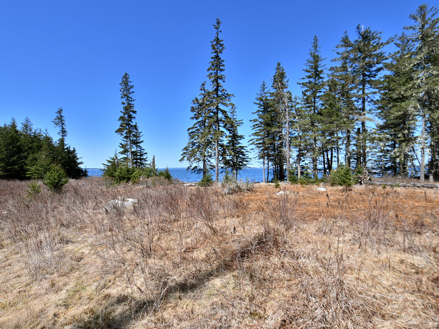 Lot 1 Jericho Bay Road Swans Island, ME 04685 - Photo 12 of 15 Sunset Point