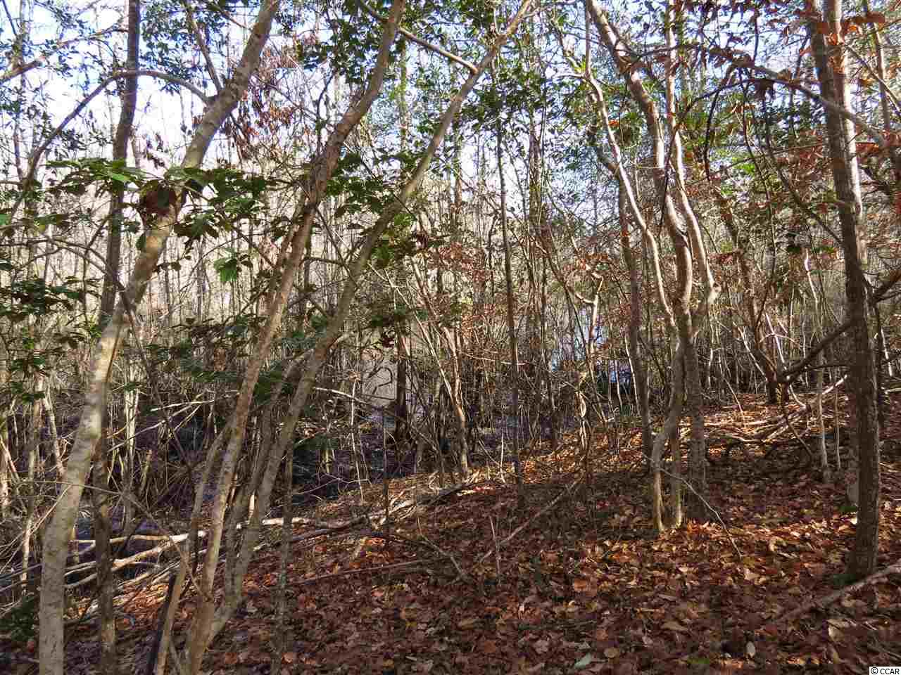 1 Wagner Street Georgetown, SC 29440 - Photo 14 of 15