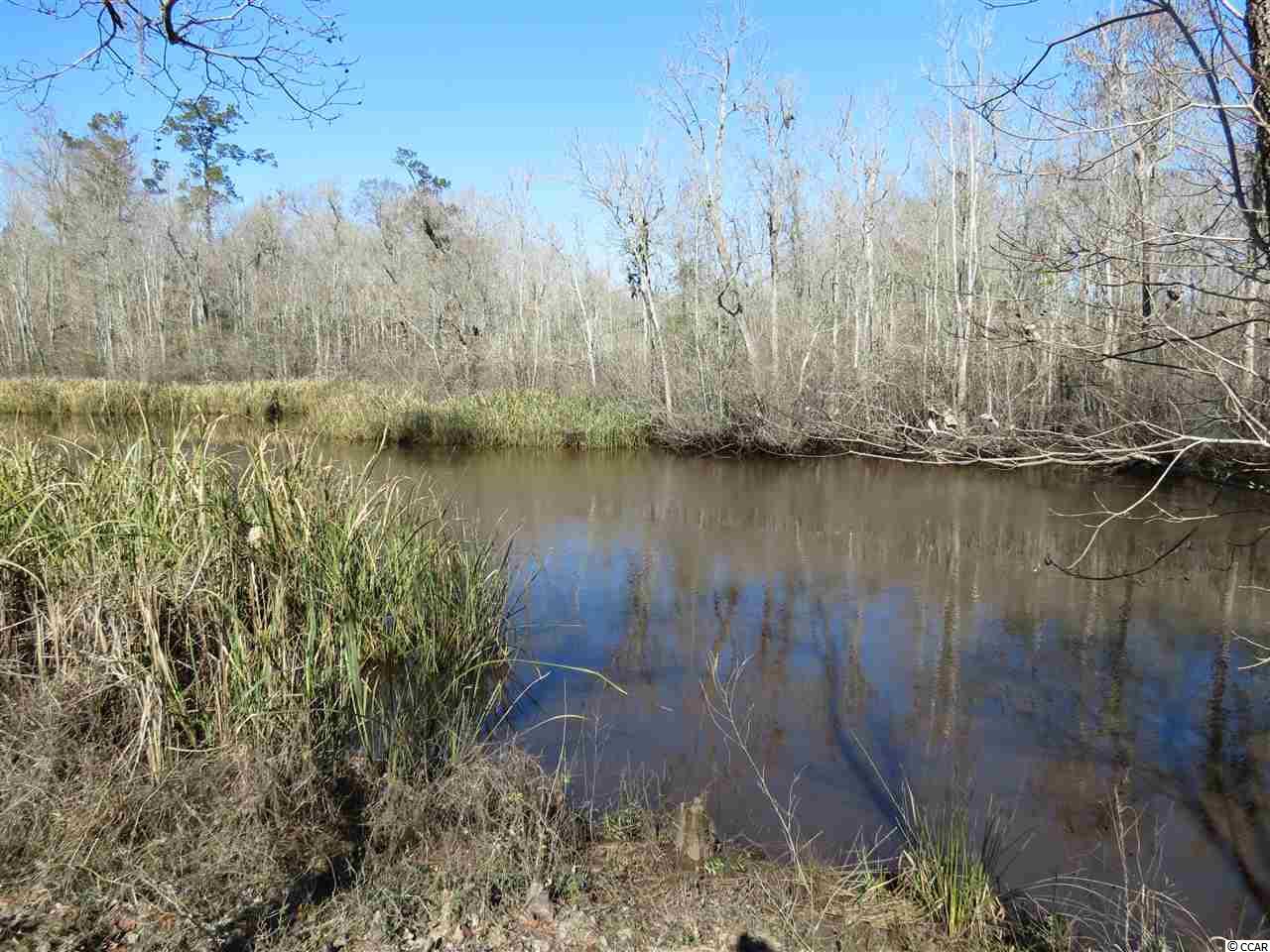 1 Wagner Street Georgetown, SC 29440 - Photo 3 of 15