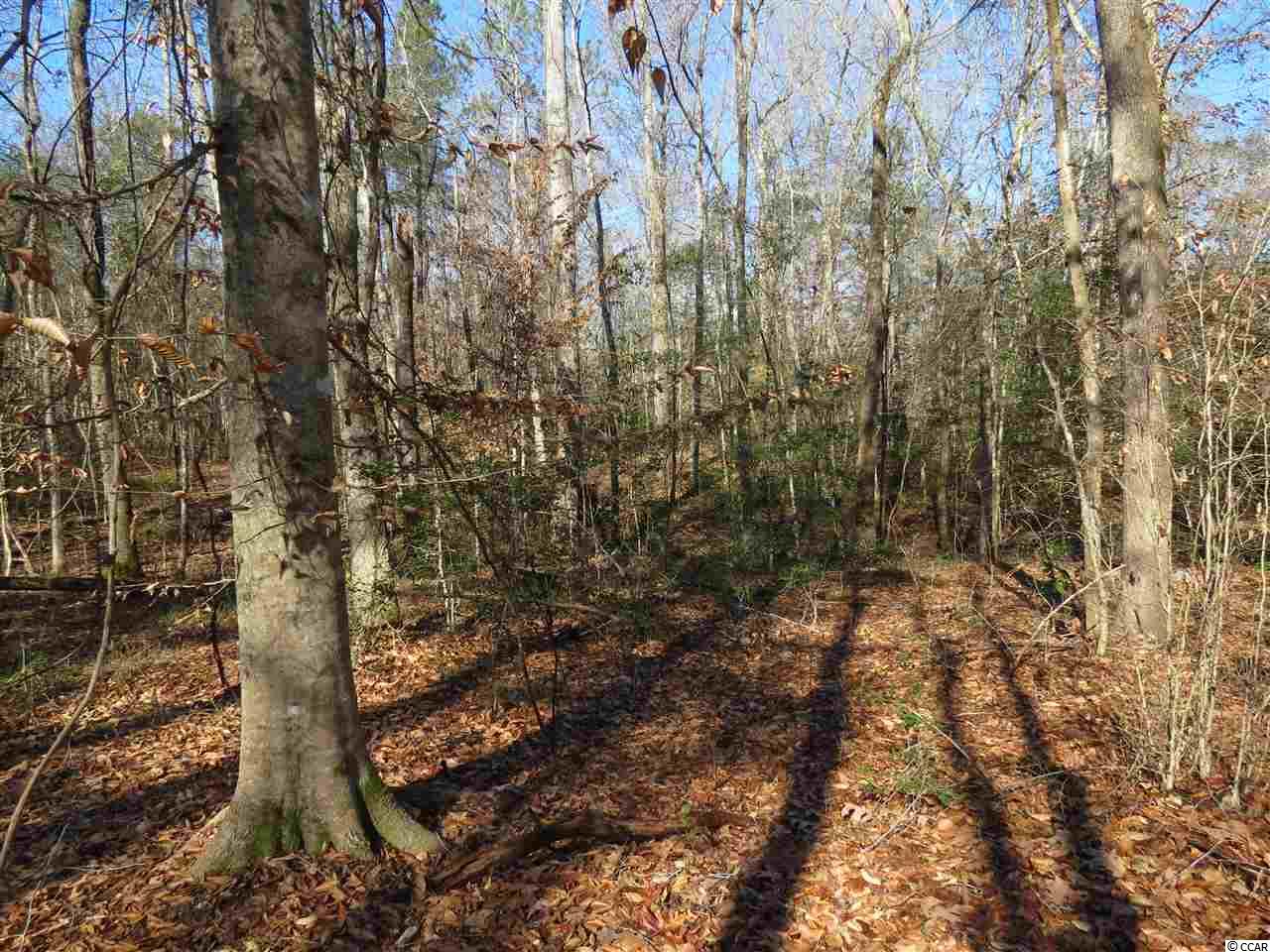 1 Wagner Street Georgetown, SC 29440 - Photo 8 of 15