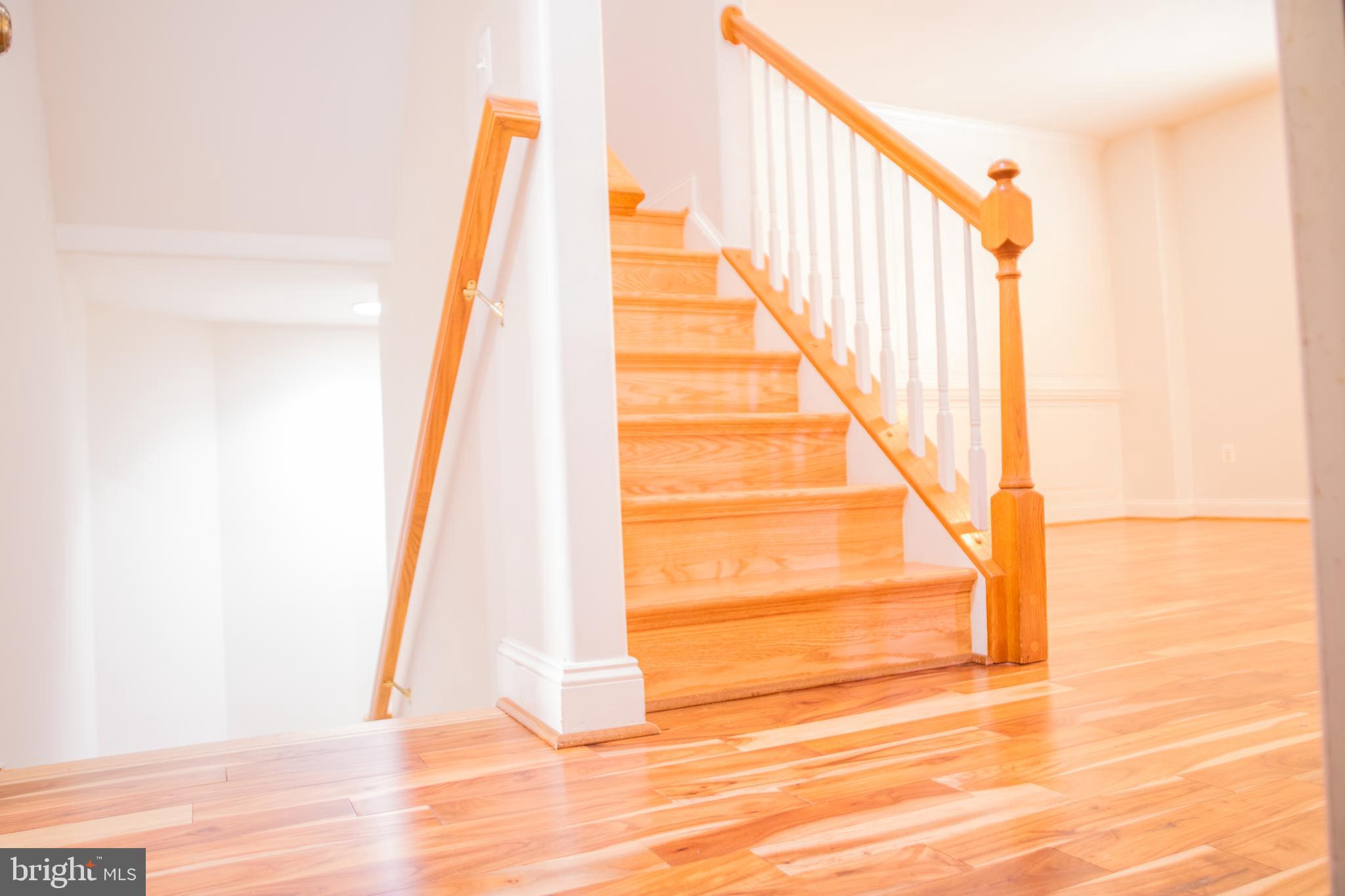 8565 Bauer Circle Springfield, VA 22152 - Photo 14 of 51