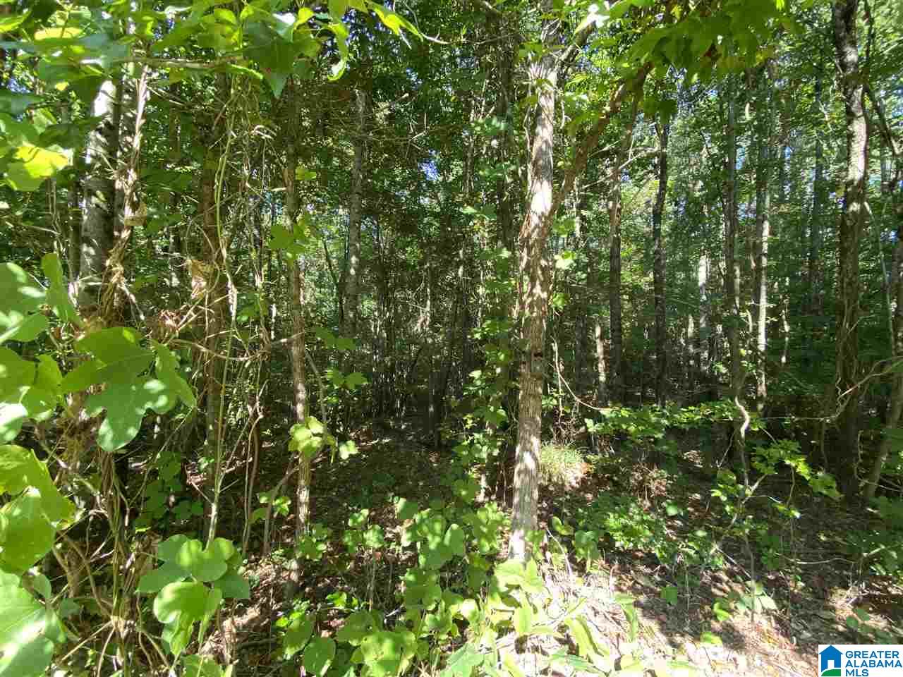 45 Sage Gap Road Goodwater, AL 35072 - Photo 12 of 47