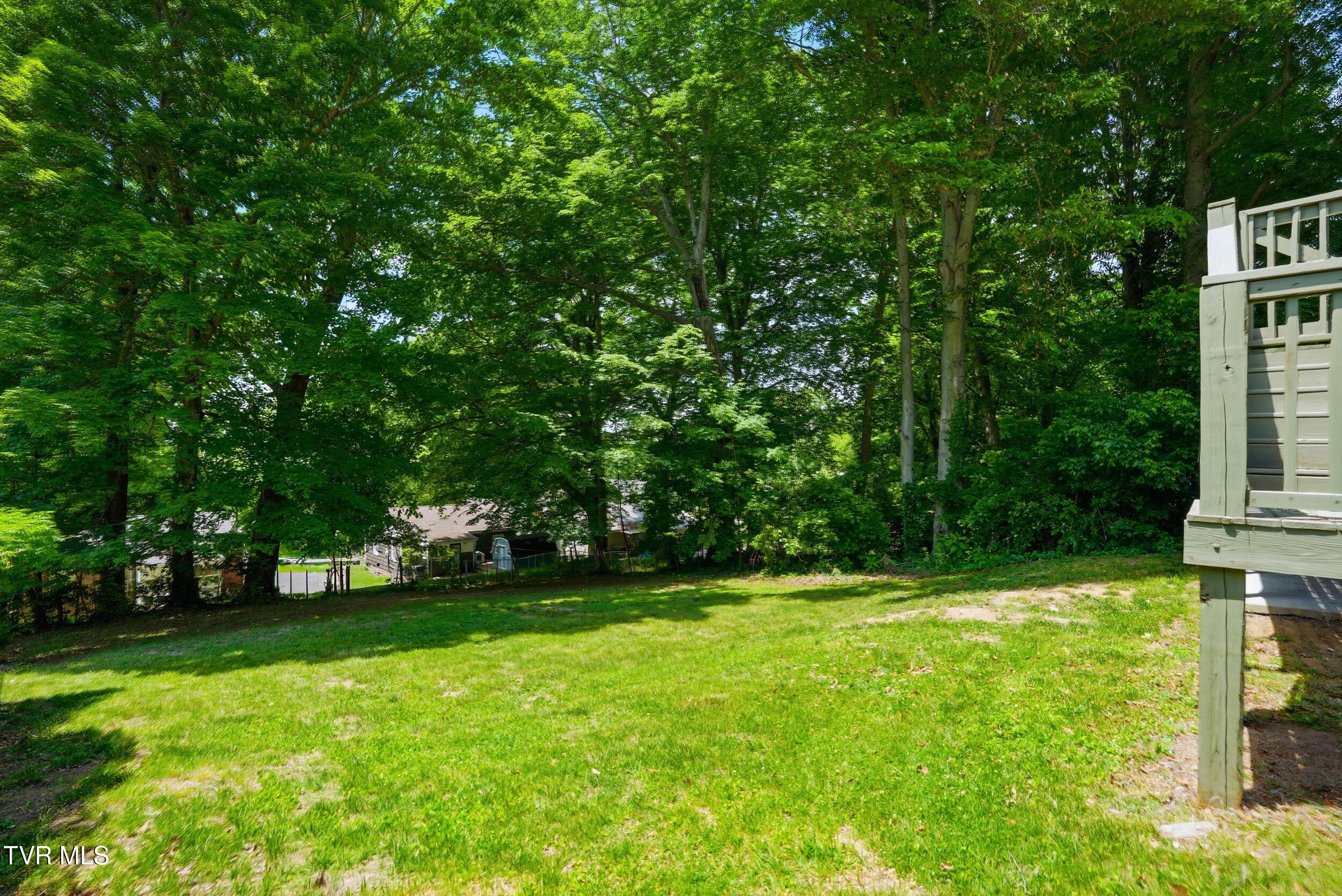 1516 Rock Rose Road Bristol, TN 37620 - Photo 29 of 38 29_1516 rock rose rd-33