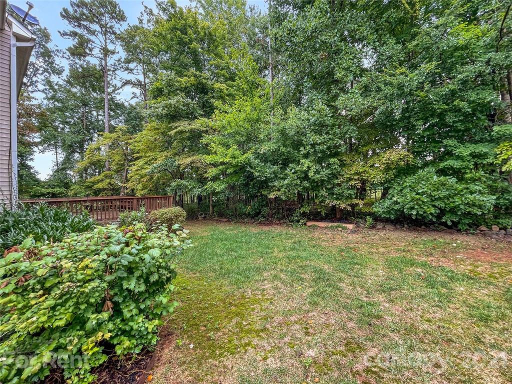 3028 Strawberry Road Matthews, NC 28104 - Photo 36 of 40 a view of a yard with a tree