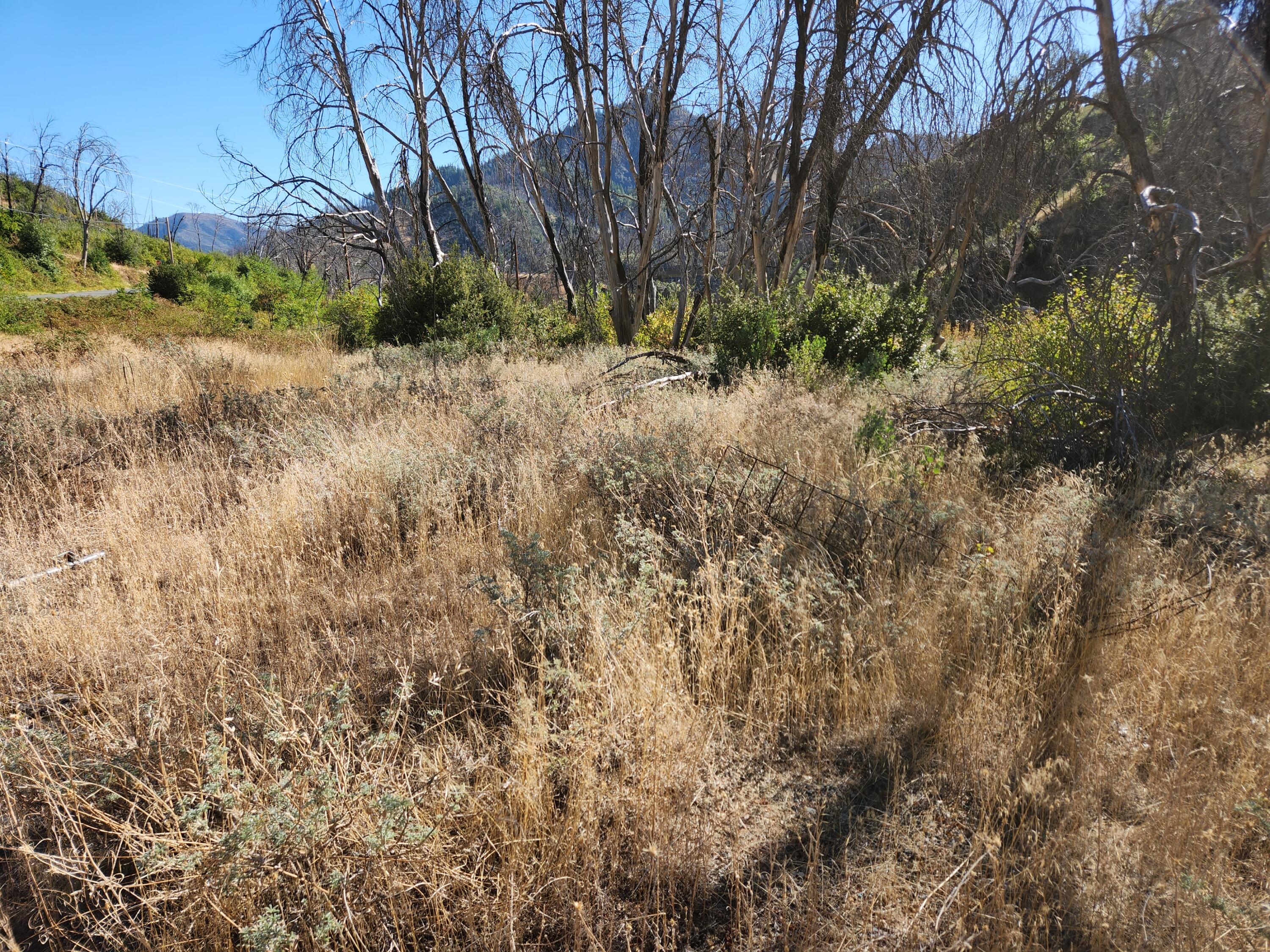 17031 Slate Creek Road Lakehead, CA 96051 - Photo 17 of 47 20240908_095048