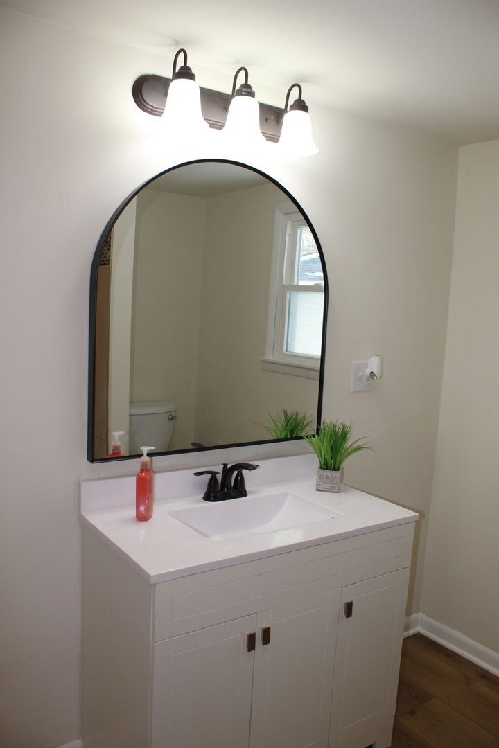 324 Sumac Street Wilmington, IL 60481 - Photo 13 of 23 a bathroom with a sink and a mirror