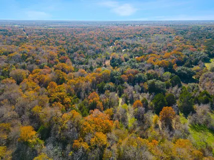 $600,000 | 272 Deadwood Road, Cedar Creek, TX 78612