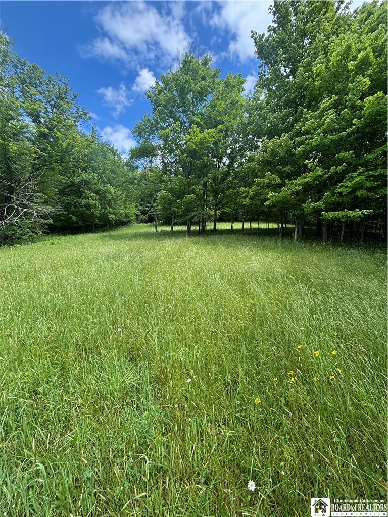 1471 Loomis Road Rexville, NY 14877 - Photo 33 of 50