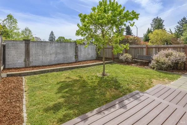 a view of a backyard with a tree