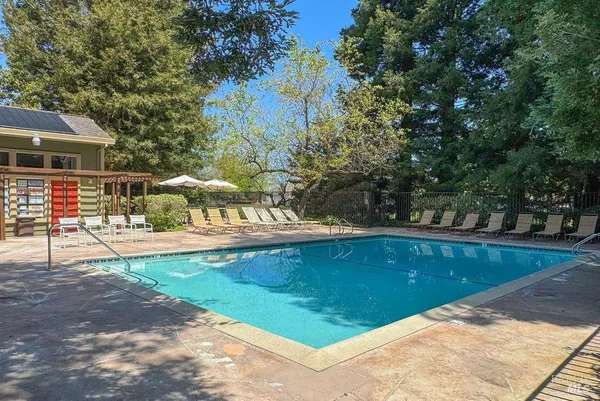 a view of a field with a tree