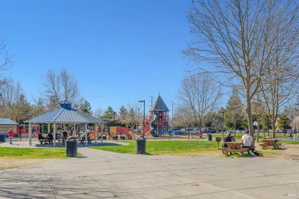 a view of a park with large trees
