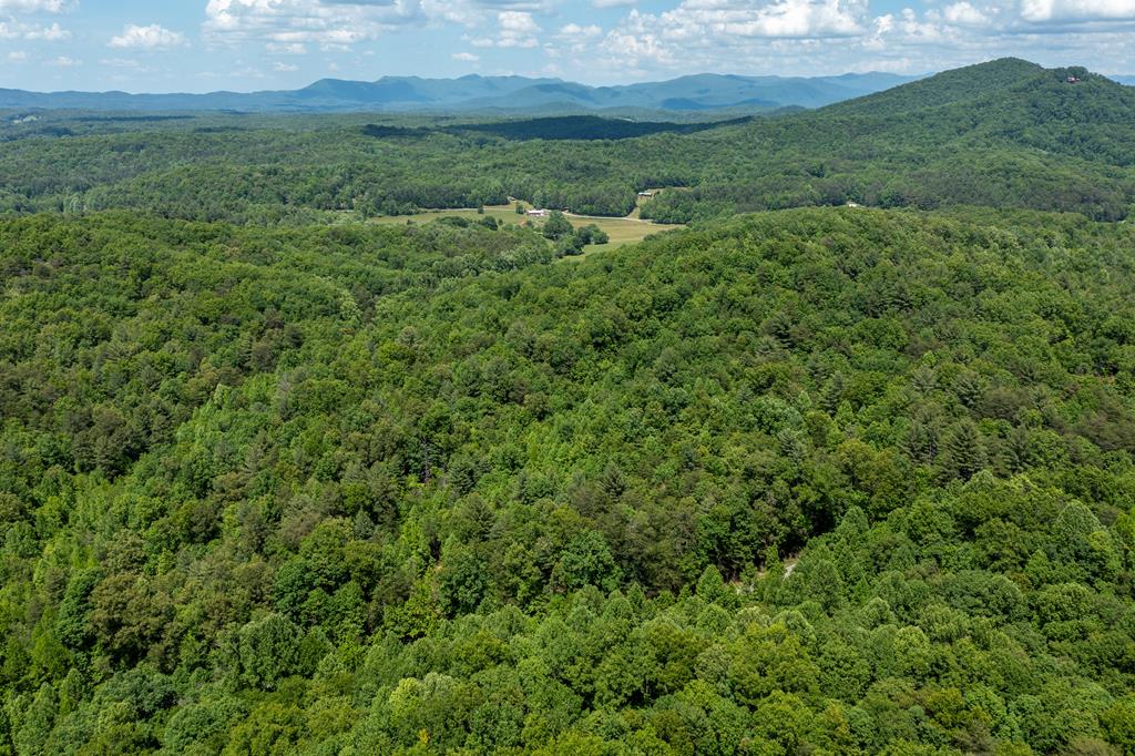 20-ac Pack Mountain Road Murphy, NC 28906 - Photo 18 of 20