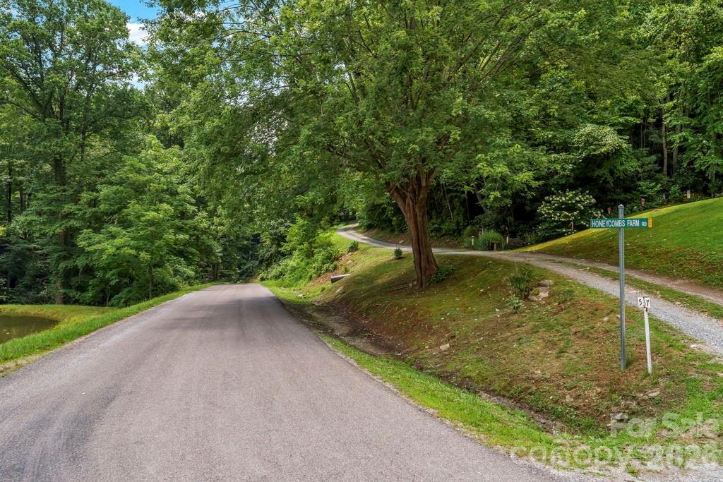 Tbd Council Ward Road Sugar Grove, NC 28679 - Photo 2 of 18 Gallery Image 2