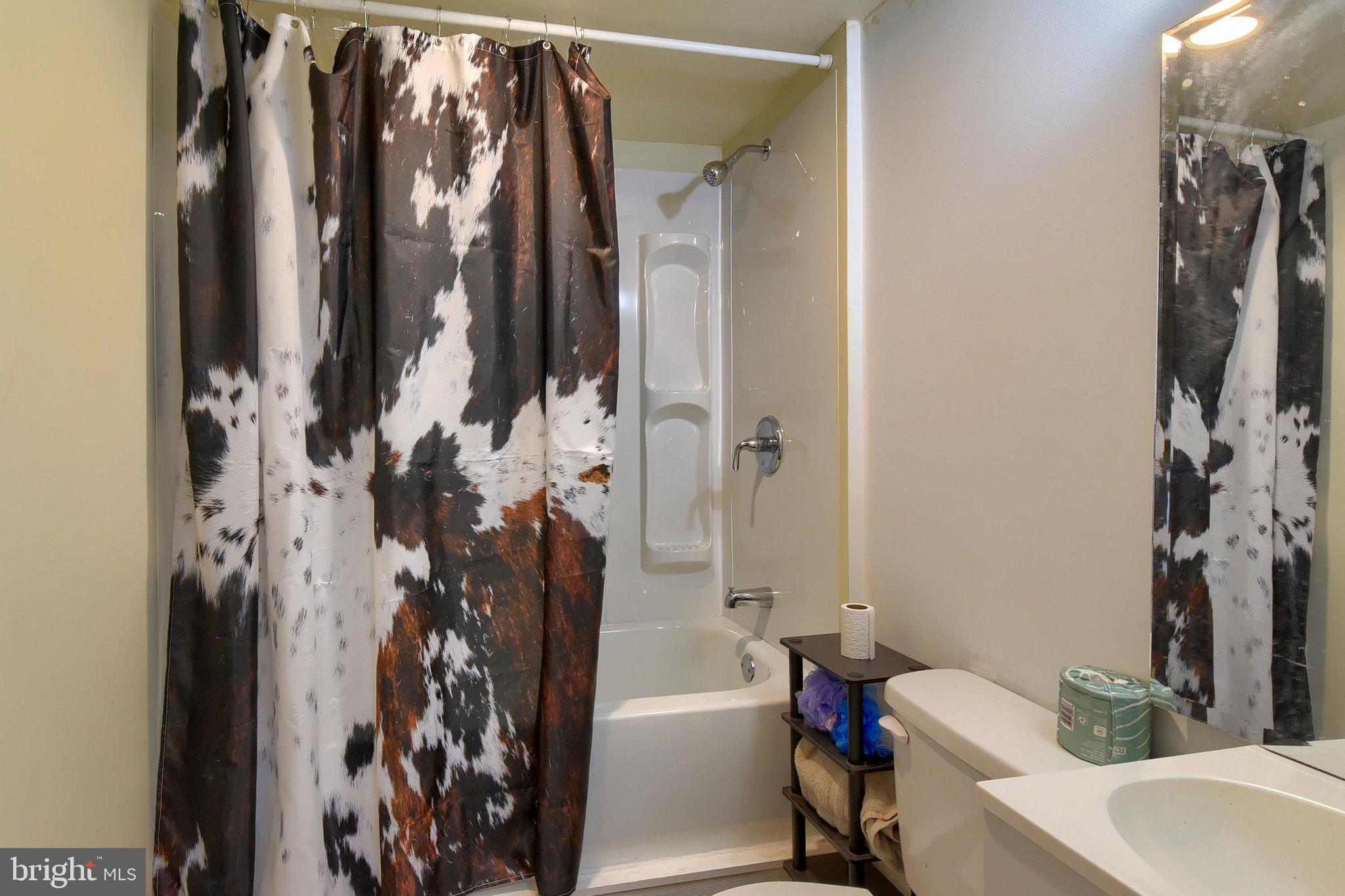 3740 Beagle Road Middletown, PA 17057 - Photo 66 of 70 a bathroom with a bathtub and a shower
