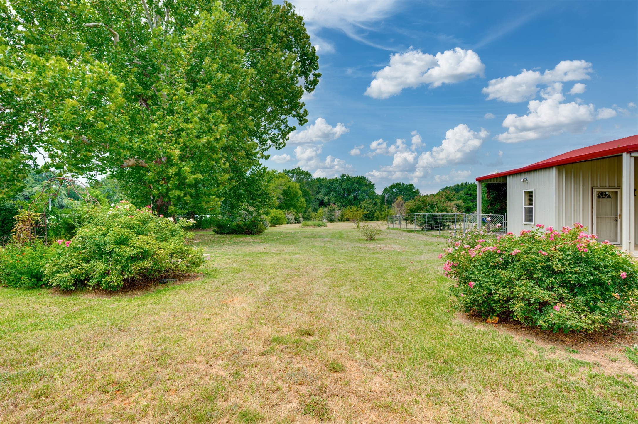 531 County Road 3501 Cuney, TX 75759 - Photo 26 of 35 a view of a big yard with potted plants and large trees