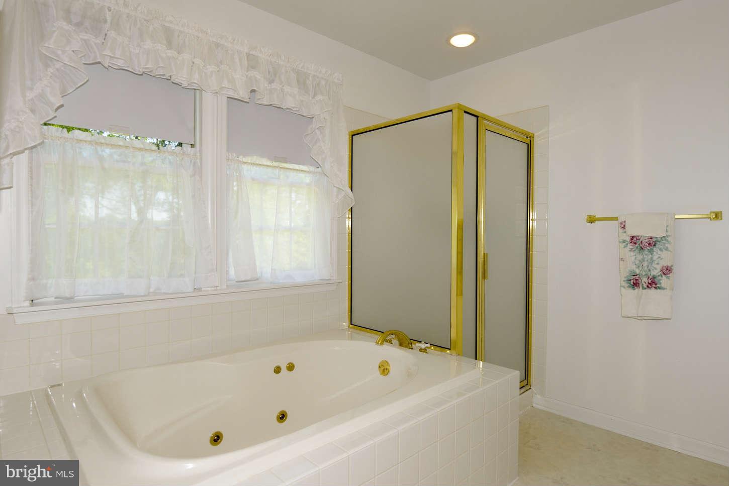 3630 Fringer Road Taneytown, MD 21787 - Photo 14 of 30 Bath (Master)