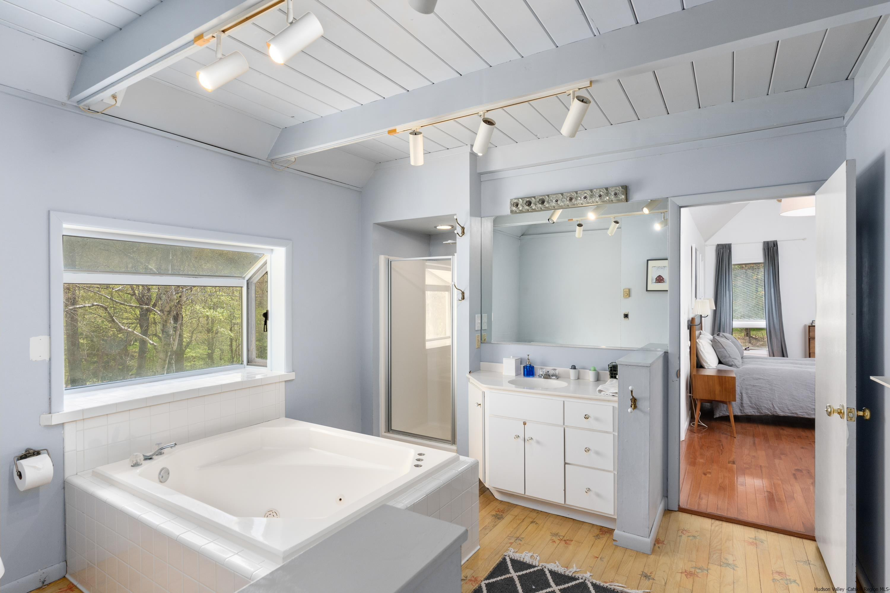167 Old Towne Road Roxbury, NY 12421 - Photo 16 of 29 a bathroom with a sink a large mirror and a bathtub