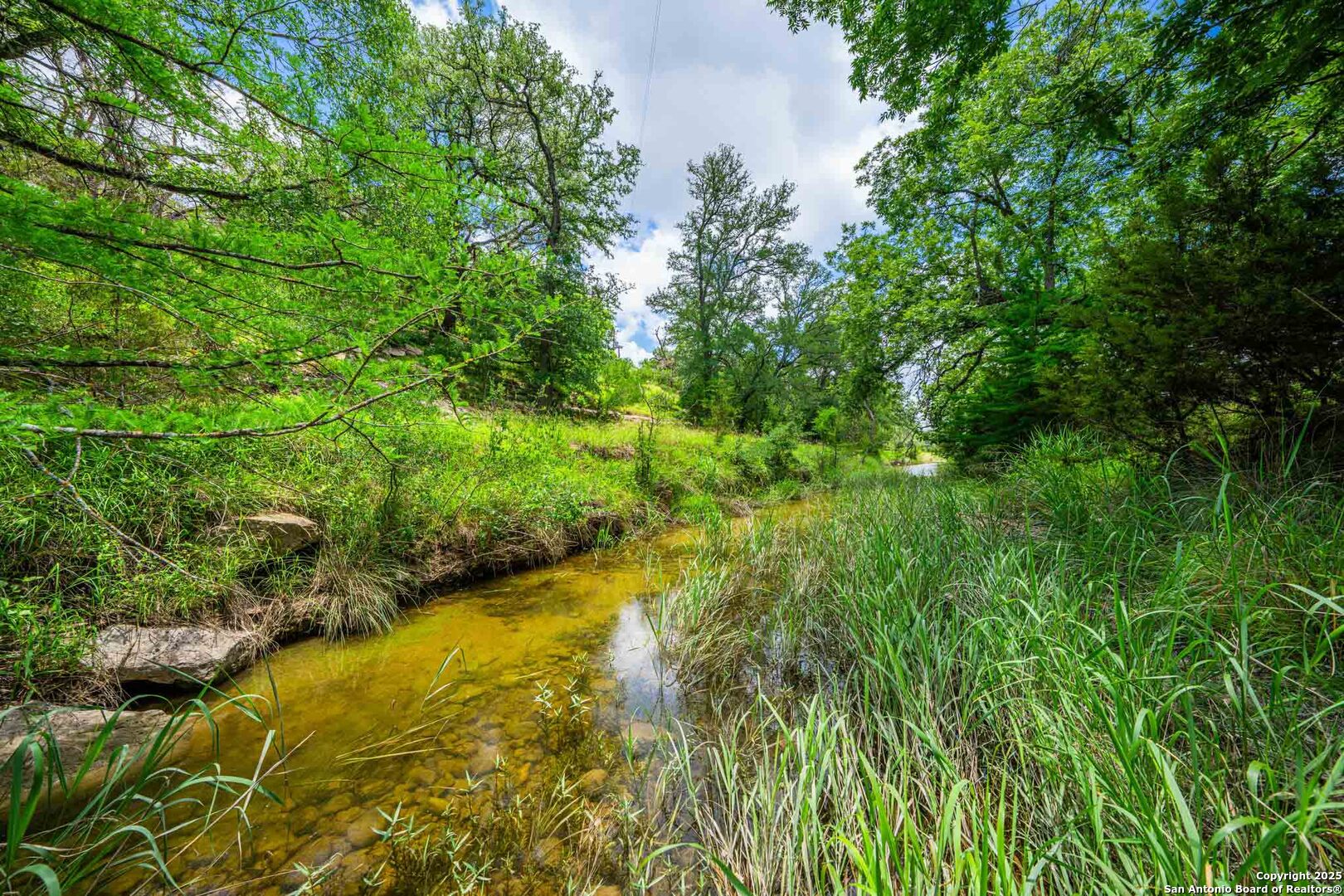 8 Cypress Creek Road Comfort, TX 78013 - Photo 14 of 39 a view of a garden