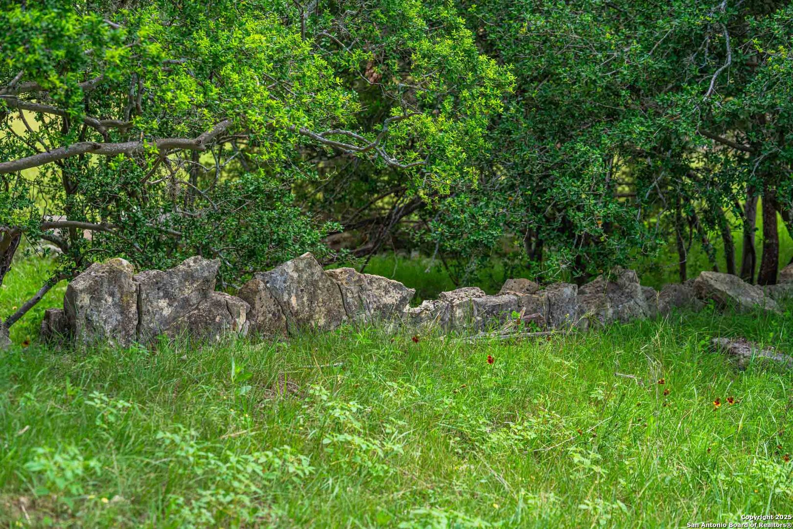 8 Cypress Creek Road Comfort, TX 78013 - Photo 23 of 39 a backyard of a house with lots of green space