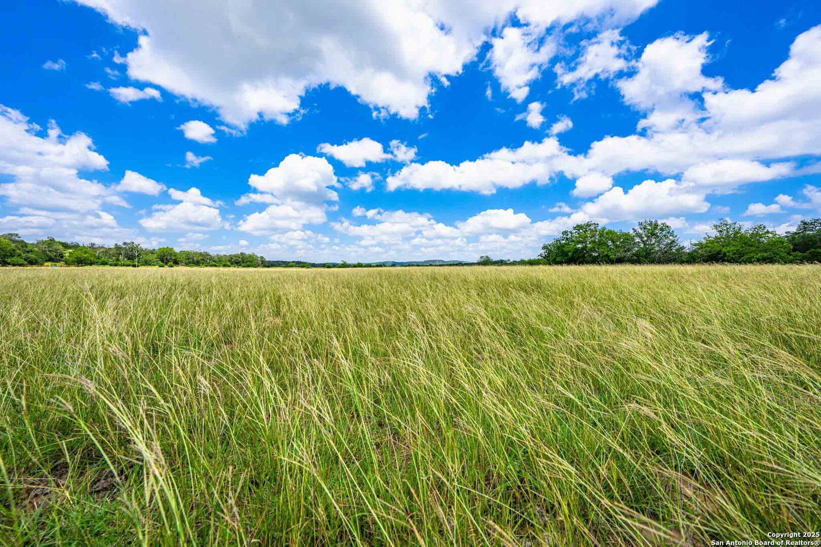 8 Cypress Creek Road Comfort, TX 78013 - Photo 26 of 39 a view of an outdoor space and a yard