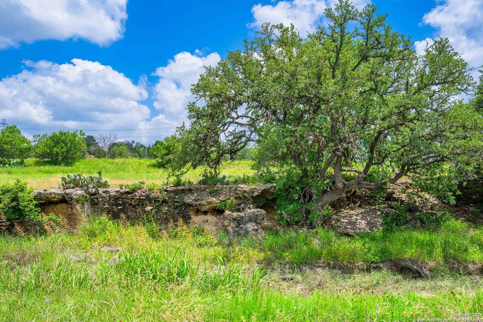 8 Cypress Creek Road Comfort, TX 78013 - Photo 29 of 39 a view of a lake with houses in back