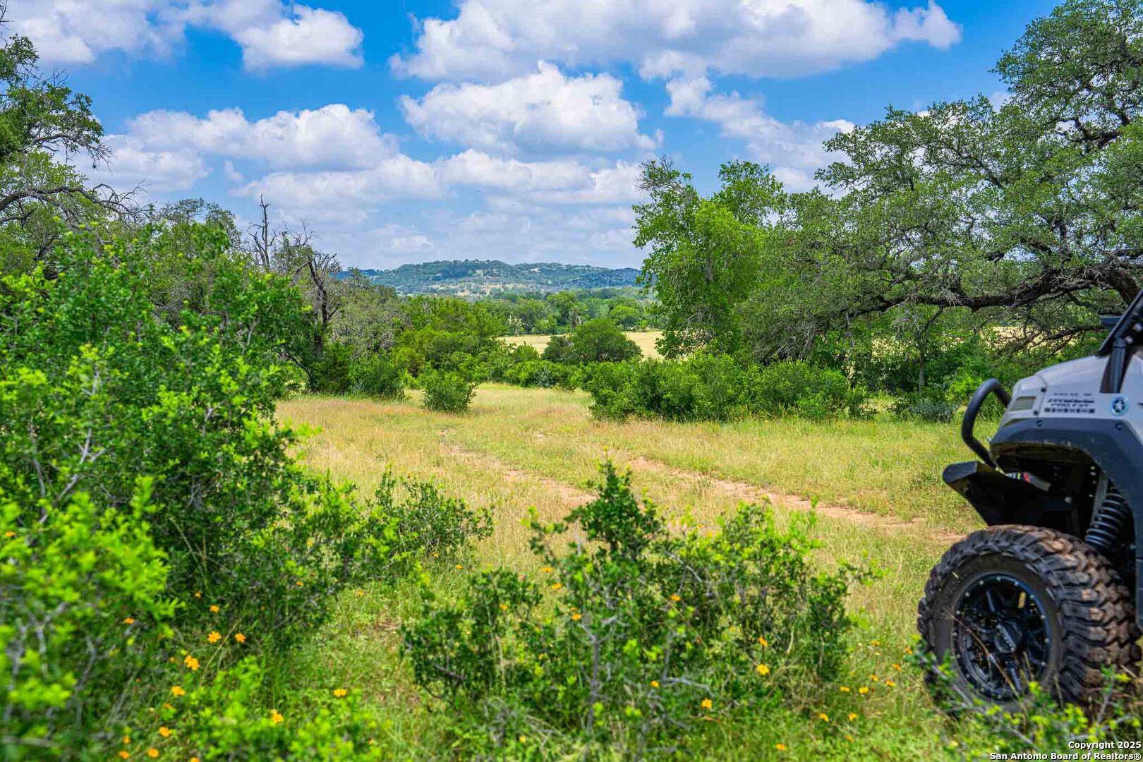 8 Cypress Creek Road Comfort, TX 78013 - Photo 3 of 39 a view of a garden