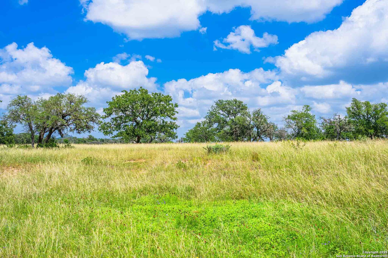 8 Cypress Creek Road Comfort, TX 78013 - Photo 31 of 39 a view of a big yard