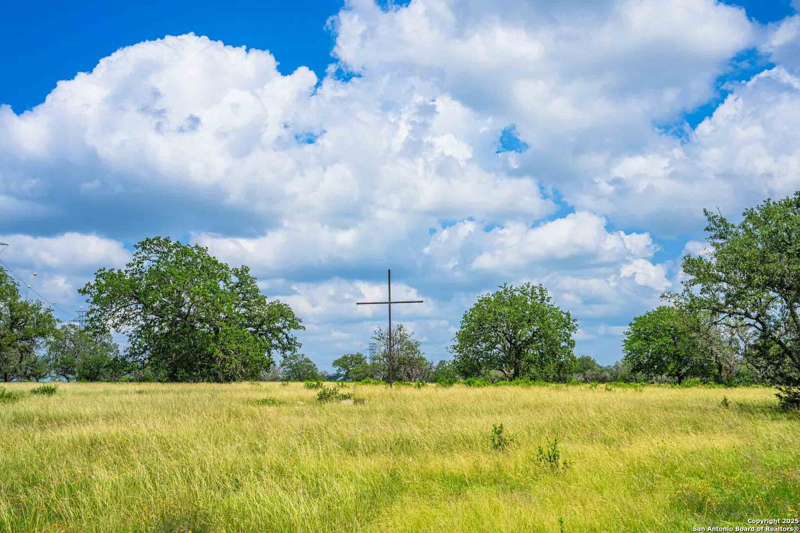 8 Cypress Creek Road Comfort, TX 78013 - Photo 32 of 39 a view of a big yard with lots of green space