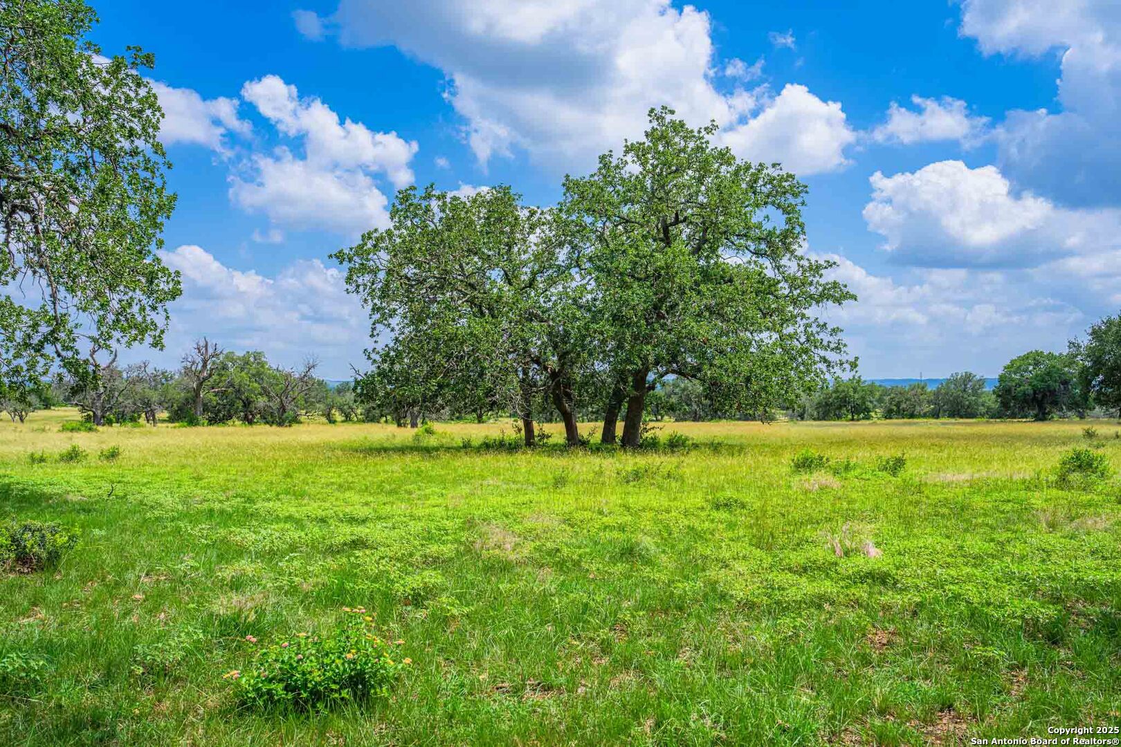 8 Cypress Creek Road Comfort, TX 78013 - Photo 36 of 39 a view of an outdoor space and a yard