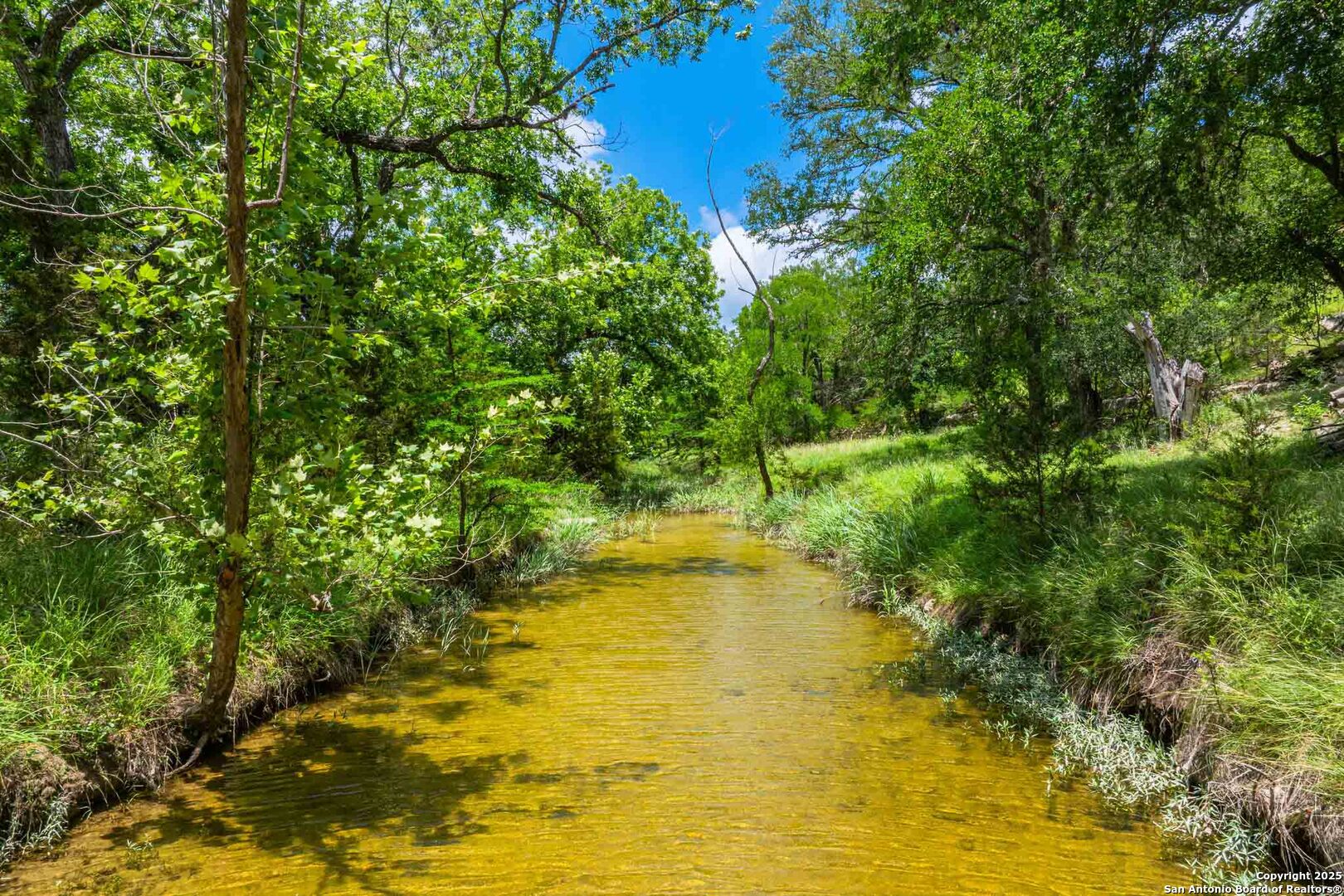 8 Cypress Creek Road Comfort, TX 78013 - Photo 5 of 39 a view of yard with swimming pool