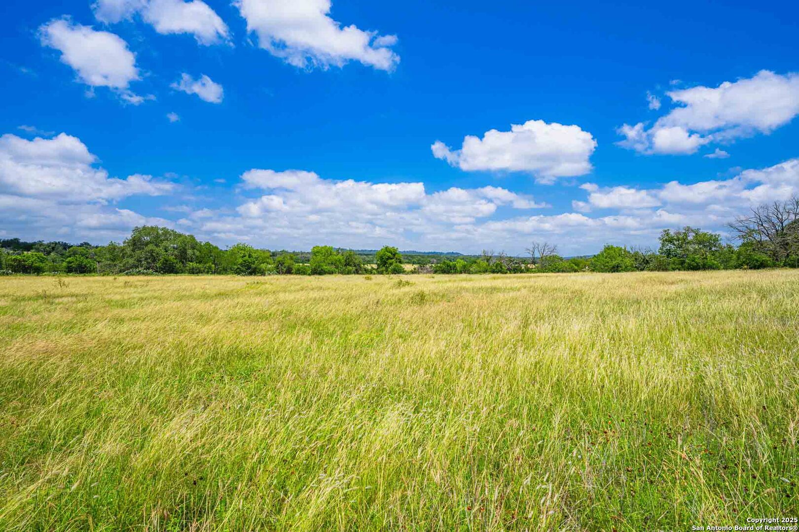 8 Cypress Creek Road Comfort, TX 78013 - Photo 6 of 39 a view of a lake with a house in the background