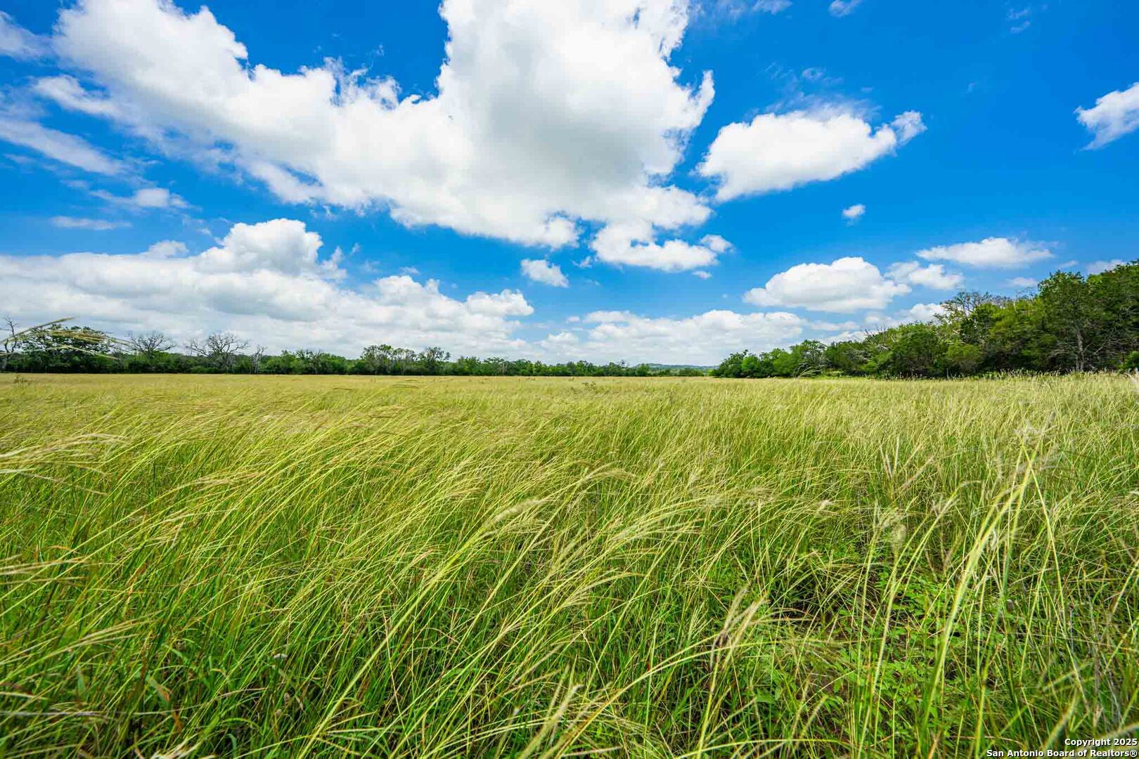 8 Cypress Creek Road Comfort, TX 78013 - Photo 10 of 39 a view of an ocean and a yard