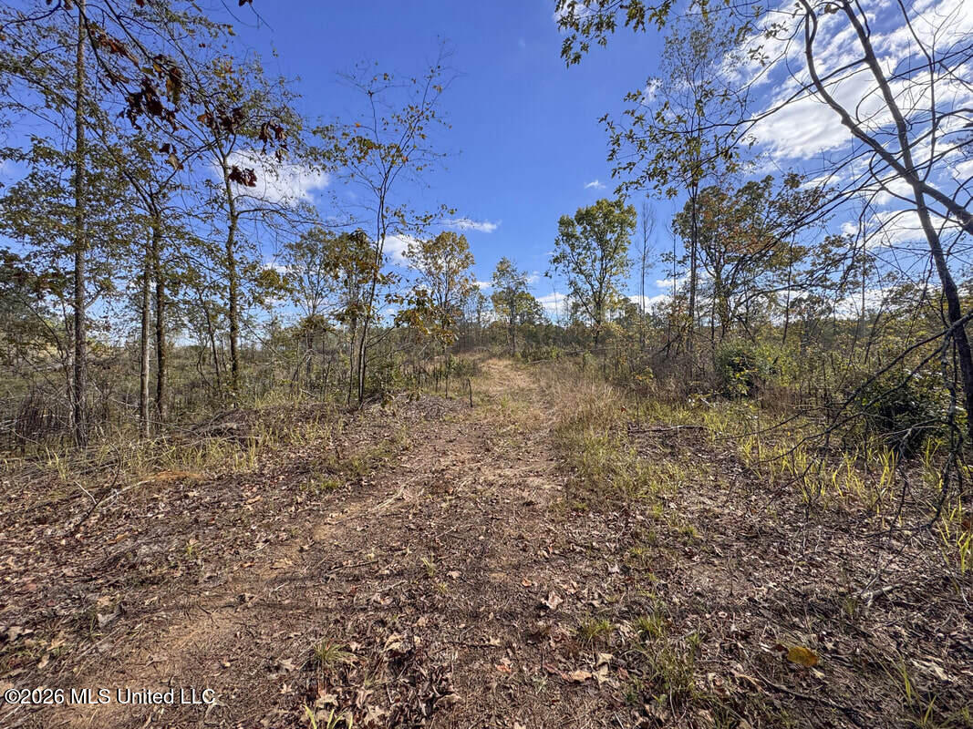 154 County Road Tillatoba, MS 38961 - Photo 51 of 58 4kgrdnyba19-orig_orig