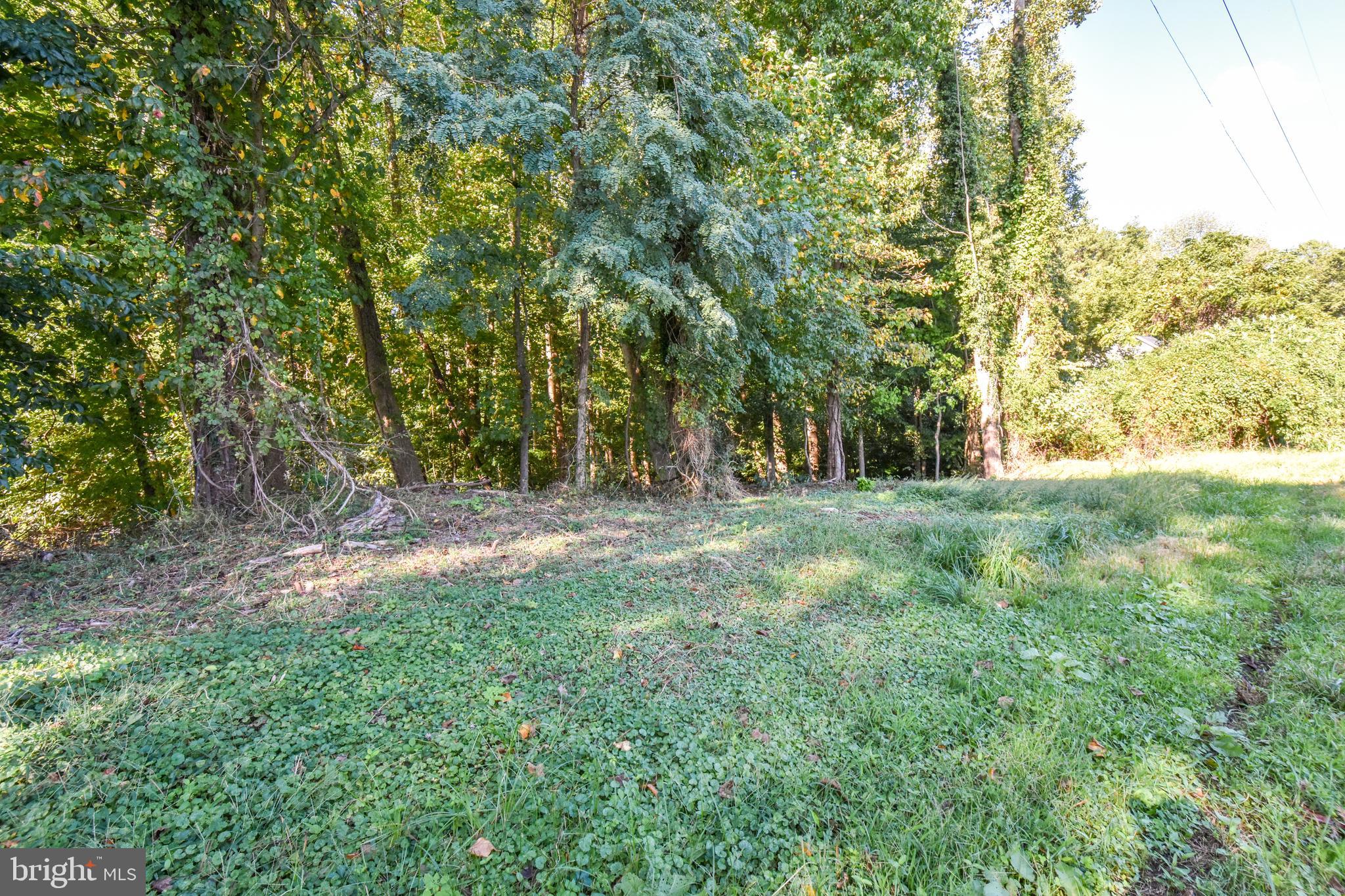 6041 Hill Road St. Leonard, MD 20685 - Photo 3 of 17 Cleared area close tot he road