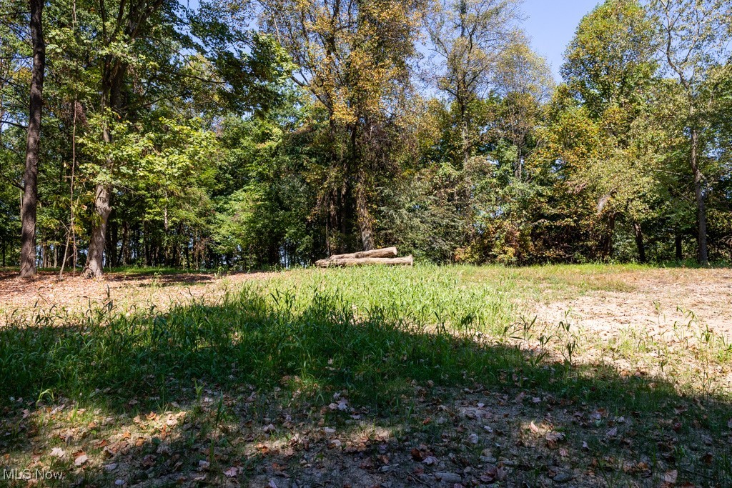 7281 Crowder Road Southwest Sherrodsville, OH 44675 - Photo 26 of 36 View of nature
