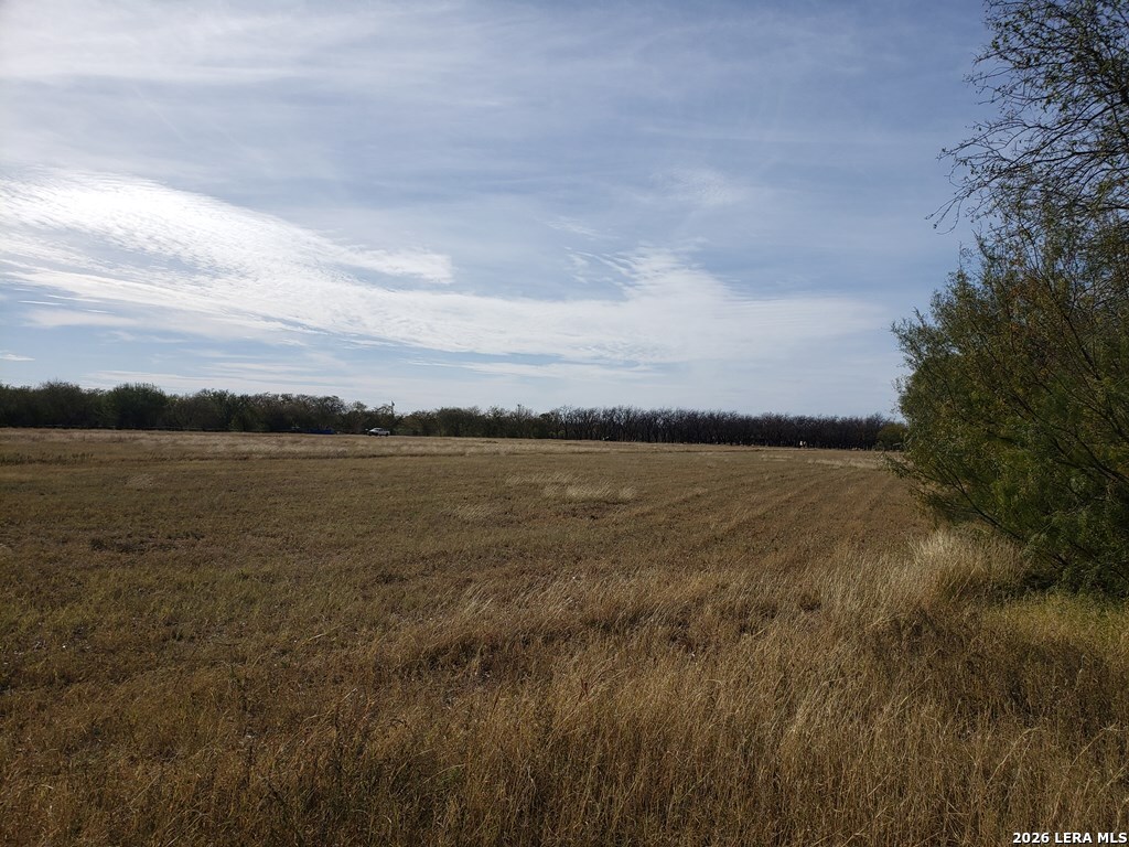 10.01-acres Abdala Road Quemado, TX 78832 - Photo 6 of 15
