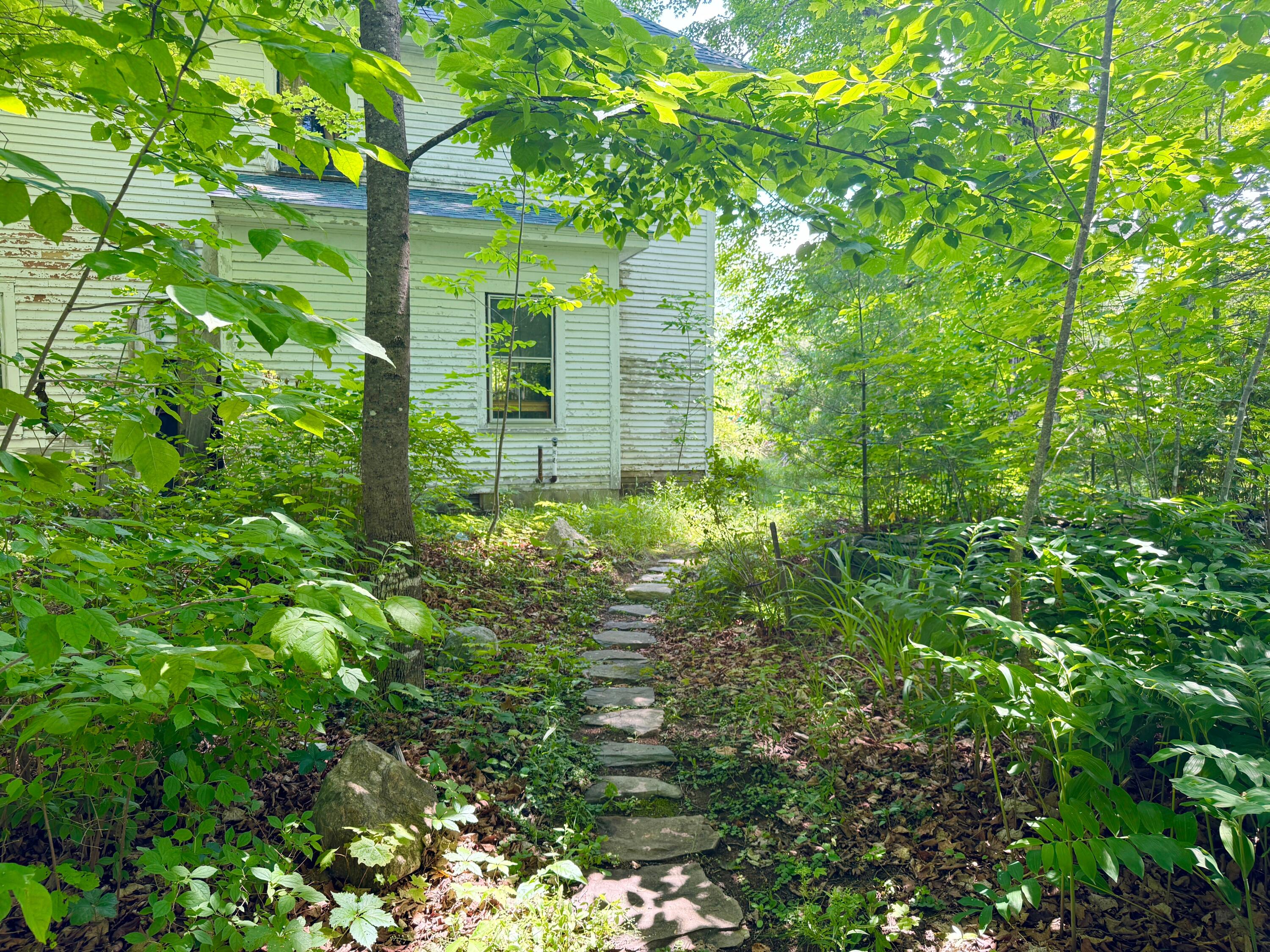 610 East Sangerville Road Sangerville, ME 04479 - Photo 11 of 42 IMG_9115