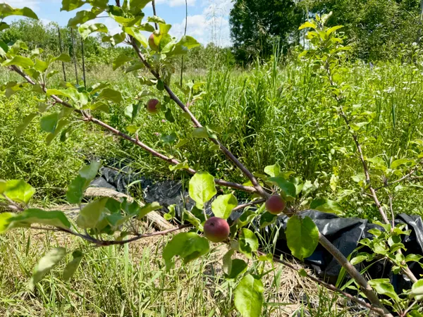 $375,000 | 610 East Sangerville Road, Sangerville, ME 04479